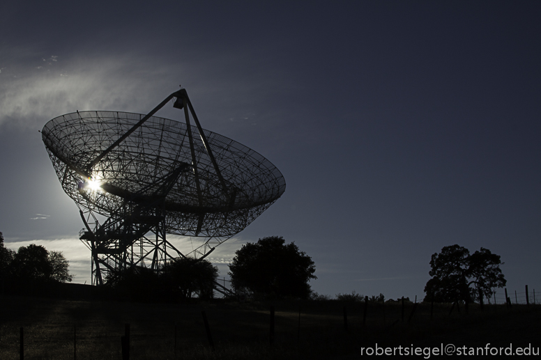 dish backlit